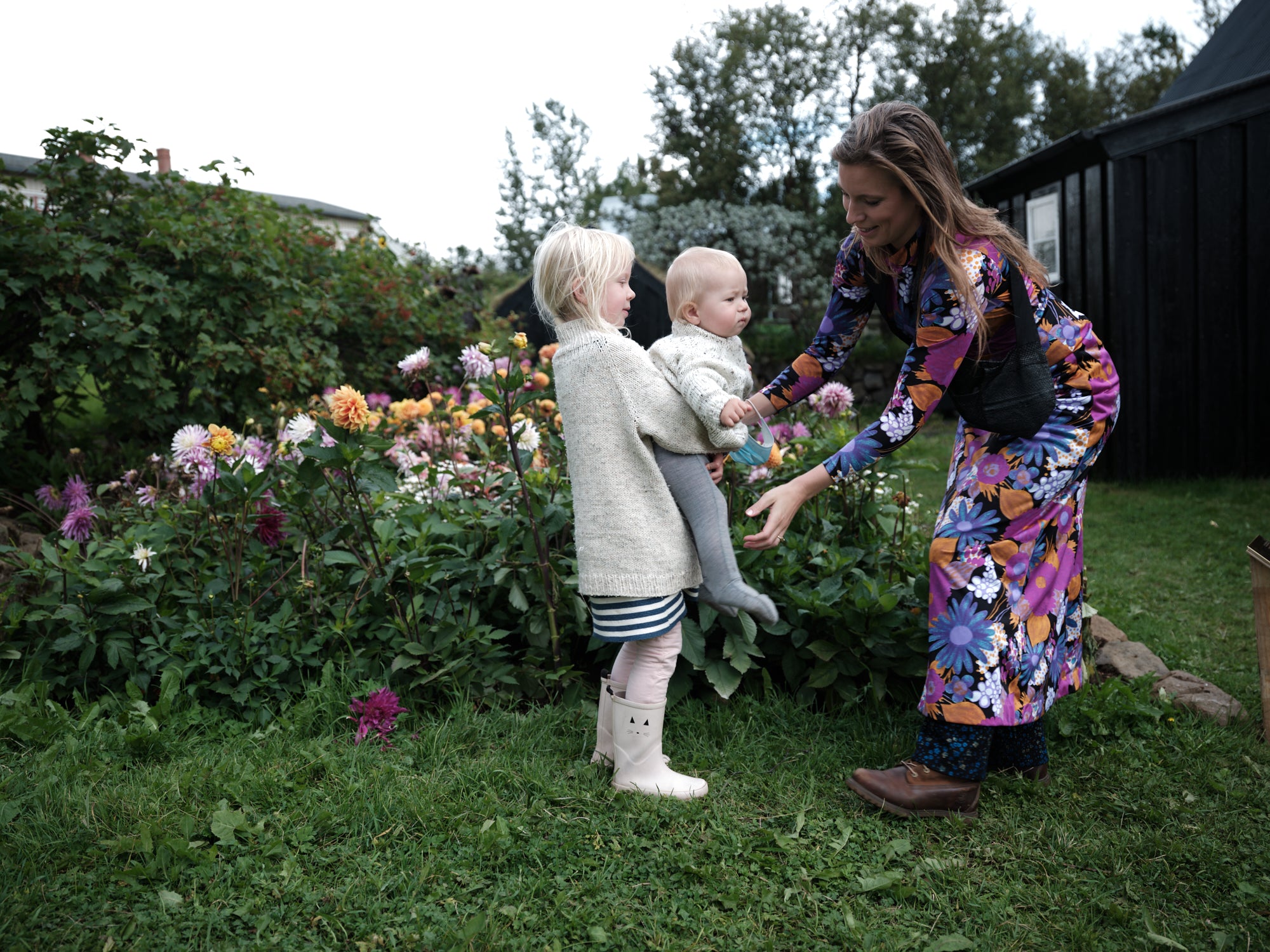Ræktaðu flugelda - blómakassi/ Uppselt!