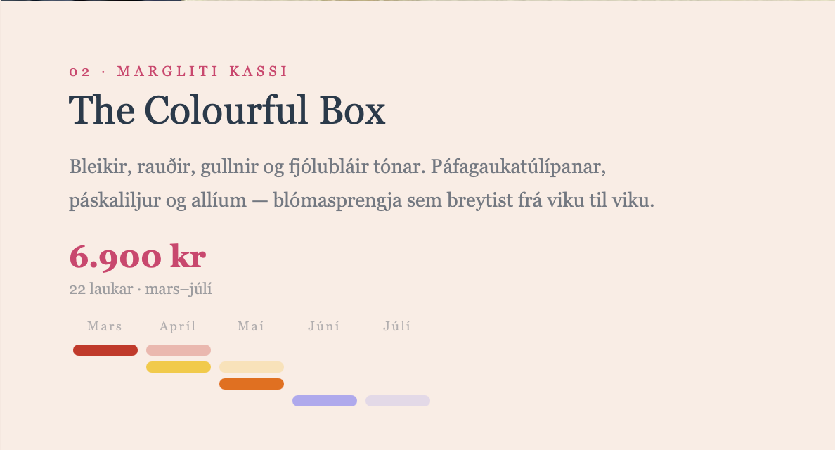 Marglita bomban/ Multicolor box of bulbs